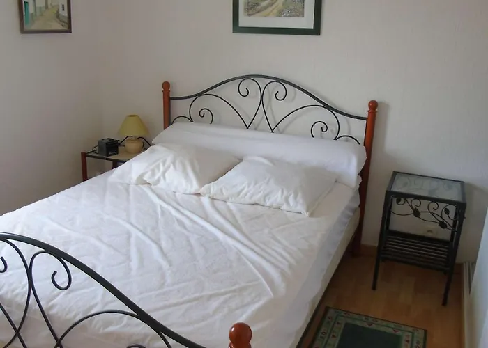 Lumineux A 2 Pas De La Plage, Balcon, Ascenseur, Tv, Lave-linge, Animaux Admis - Fr-1-674-19 Apartment *